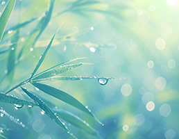 《金刚经》与人生智慧